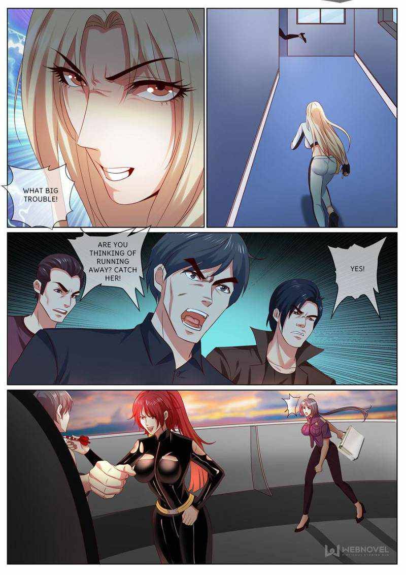 Page 4 of Chapter 335