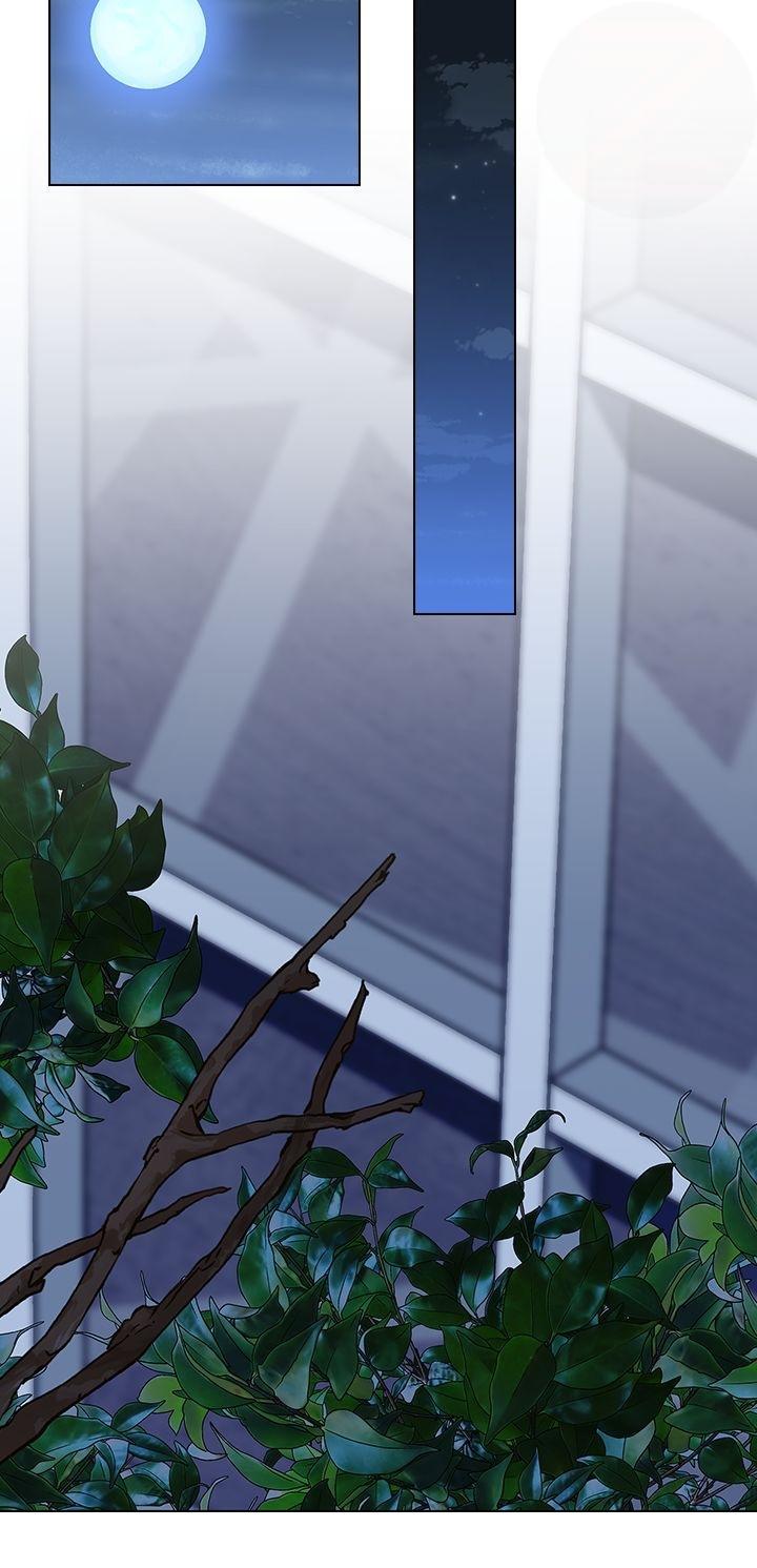 Page 19 of Chapter 68
