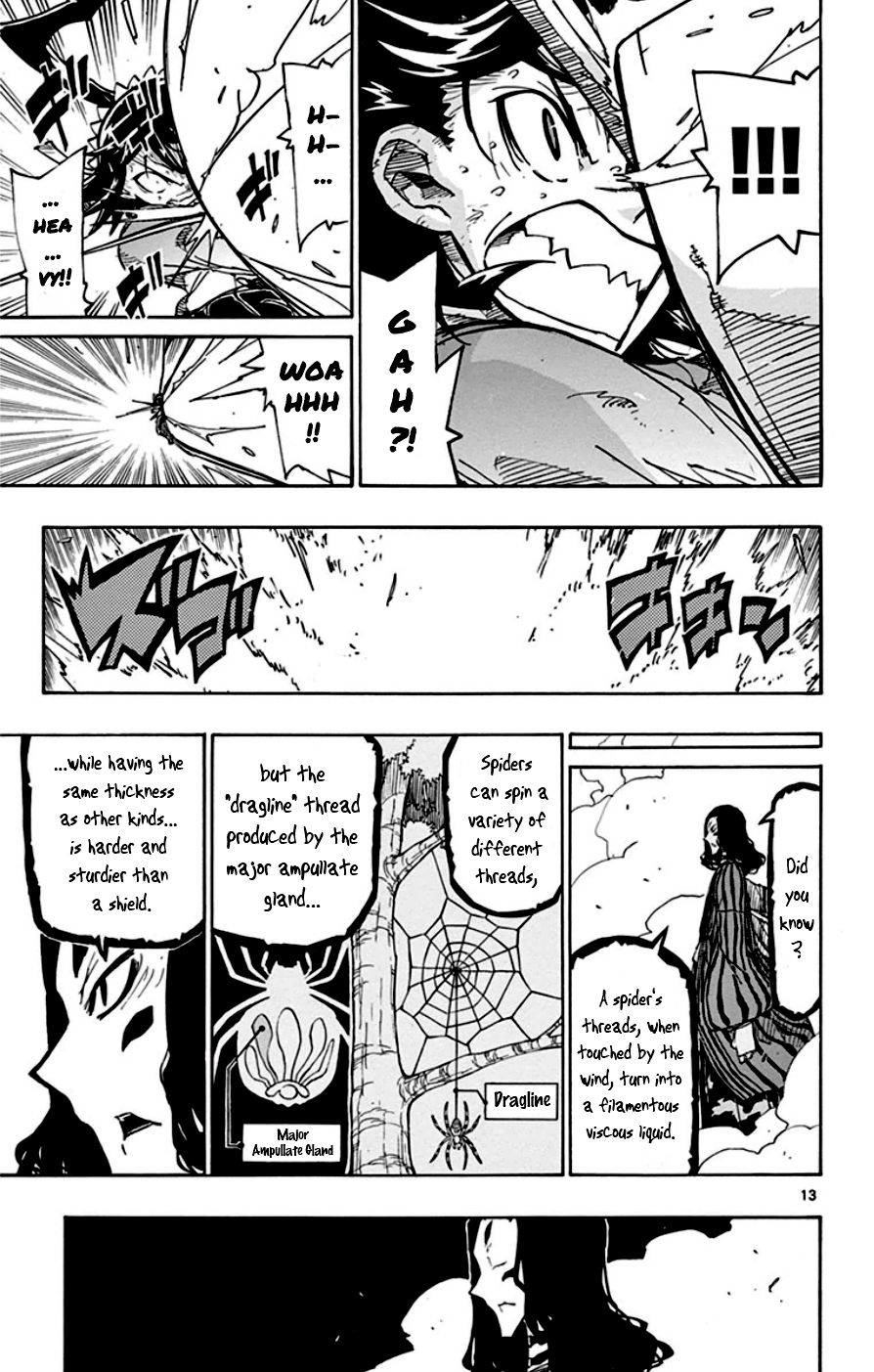 Page 13 of Chapter 155