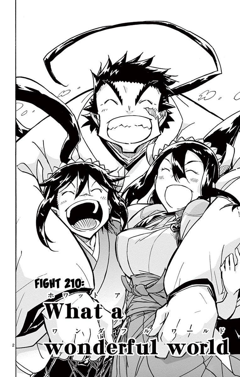 Page 2 of Chapter 210