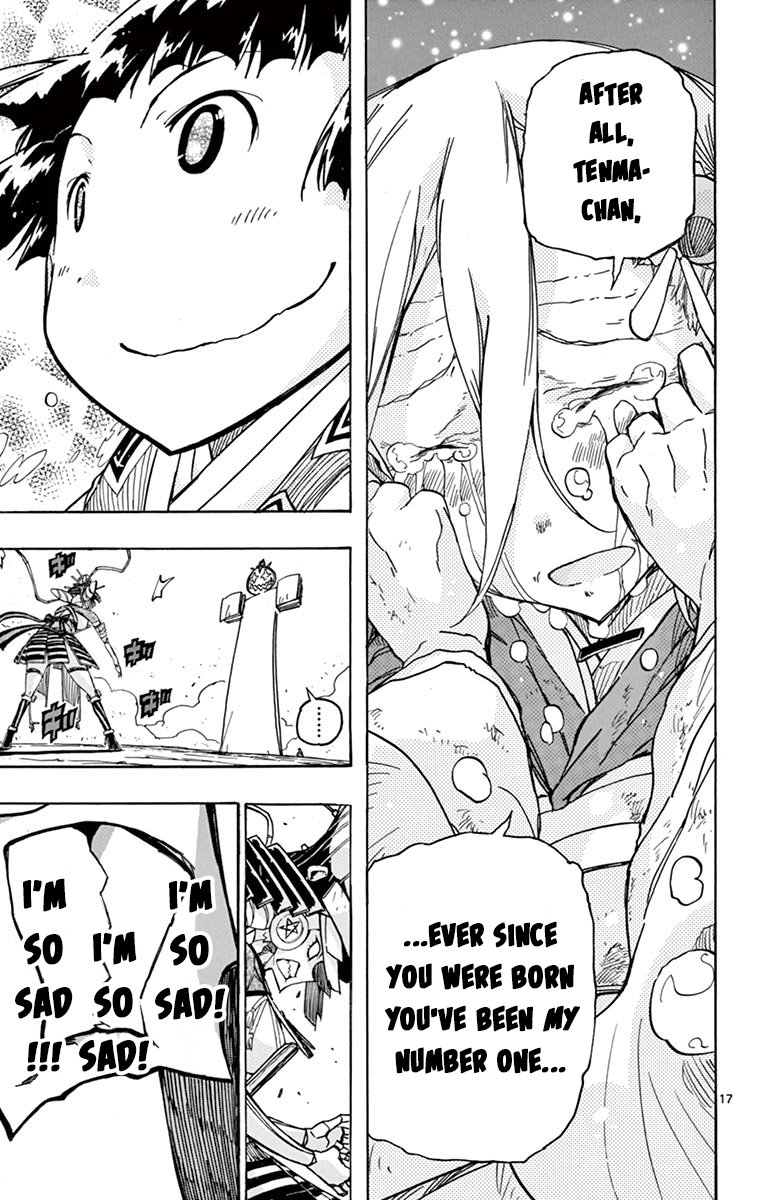 Page 17 of Chapter 238