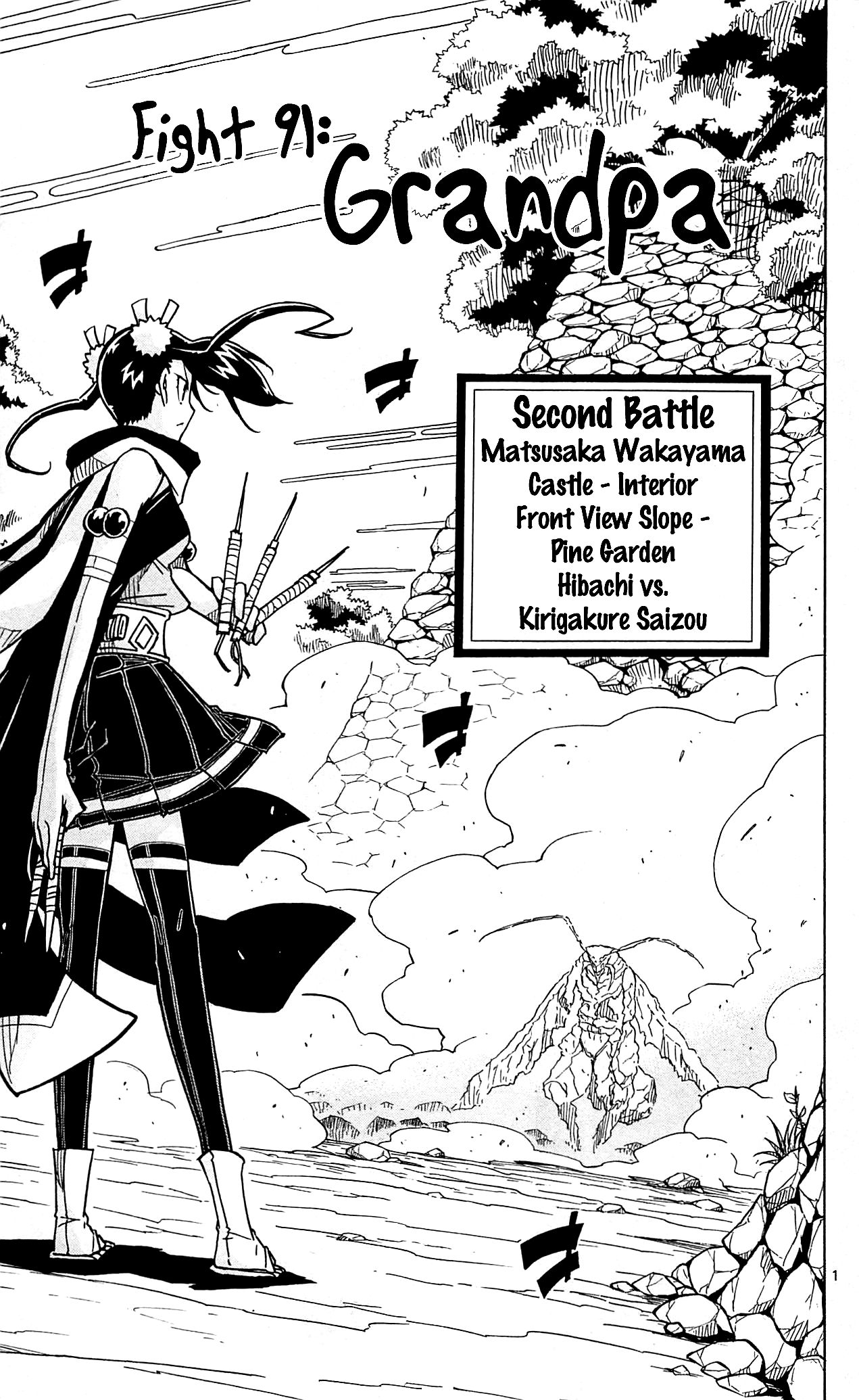 Page 2 of Chapter 91