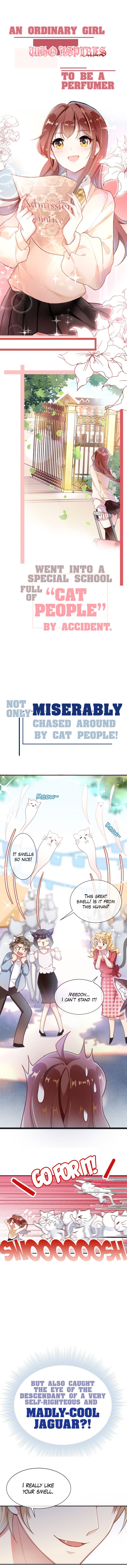 Page 1 of Chapter 0