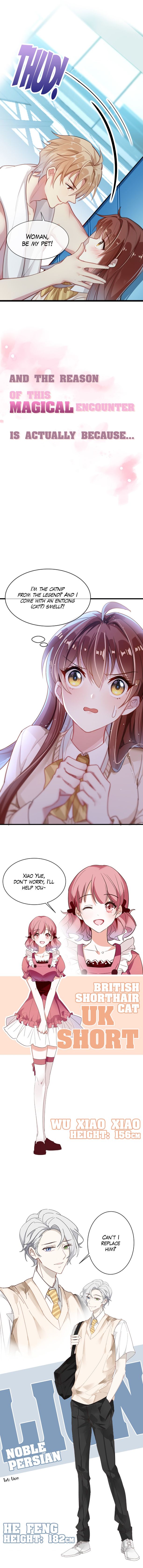 Page 2 of Chapter 0
