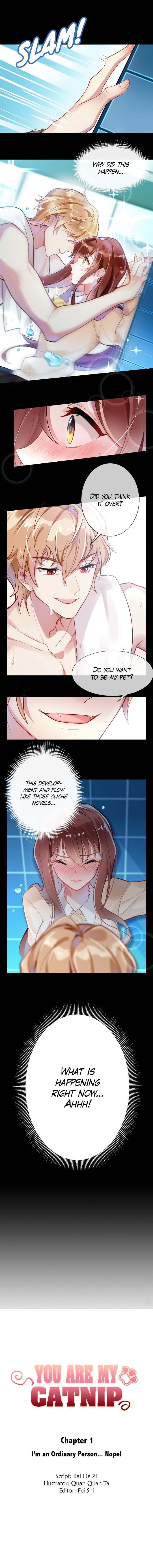 Page 1 of Chapter 1