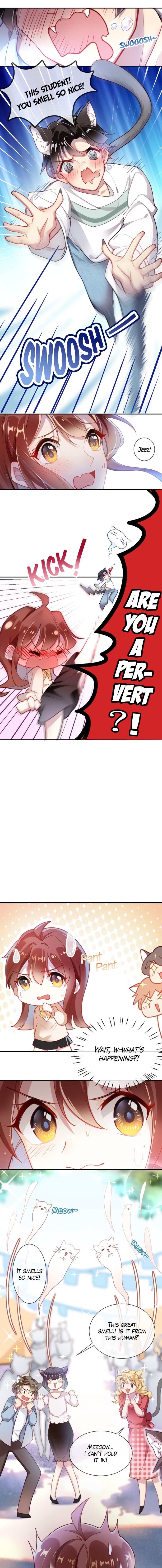 Page 4 of Chapter 1