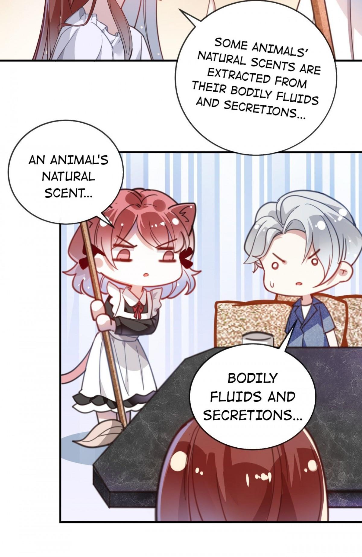 Page 17 of Chapter 11
