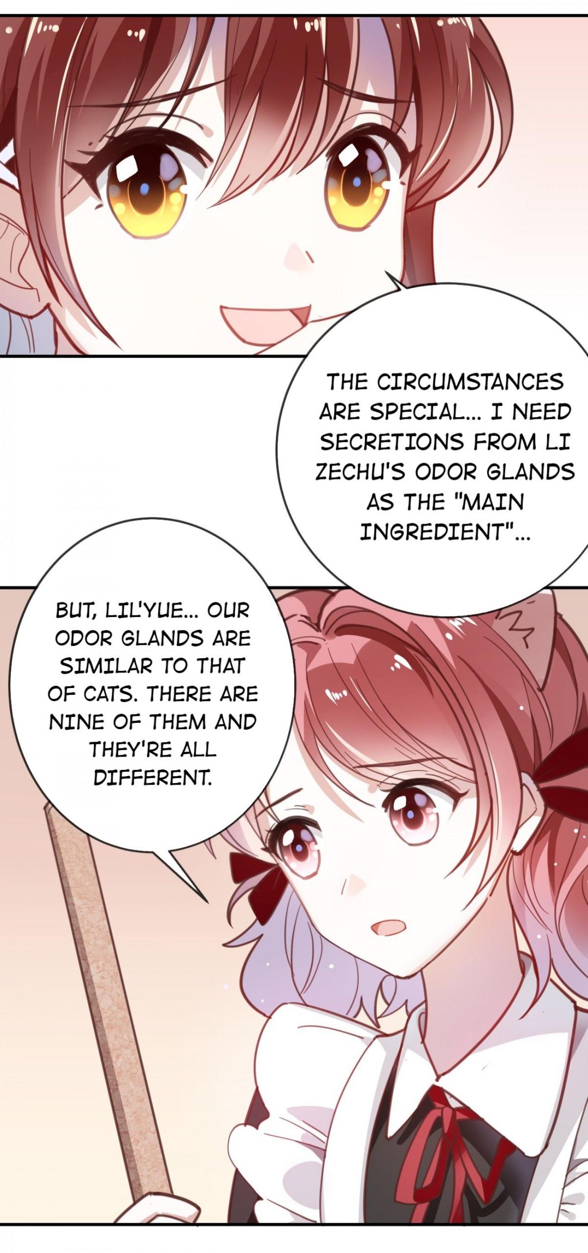 Page 19 of Chapter 11