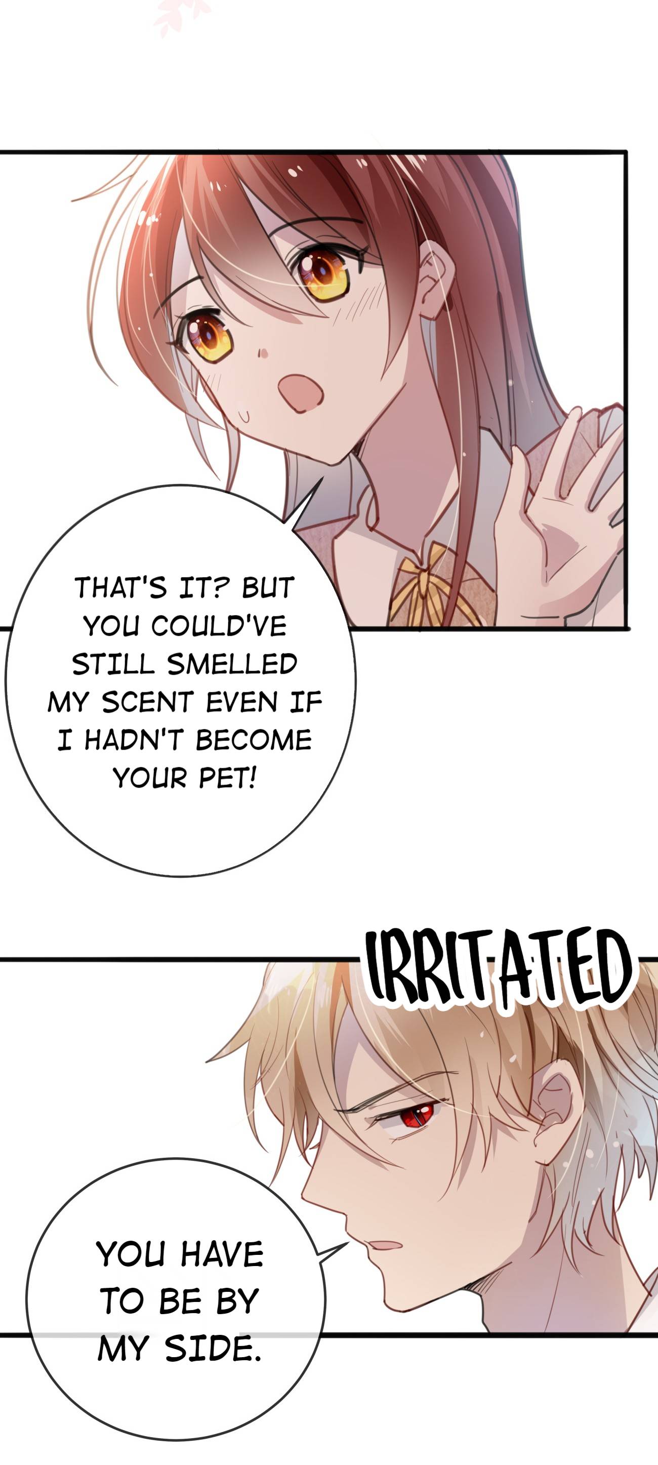 Page 4 of Chapter 15.2