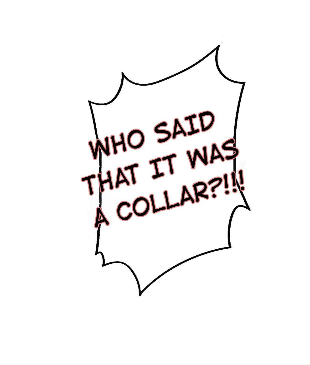 Page 9 of Chapter 16.2