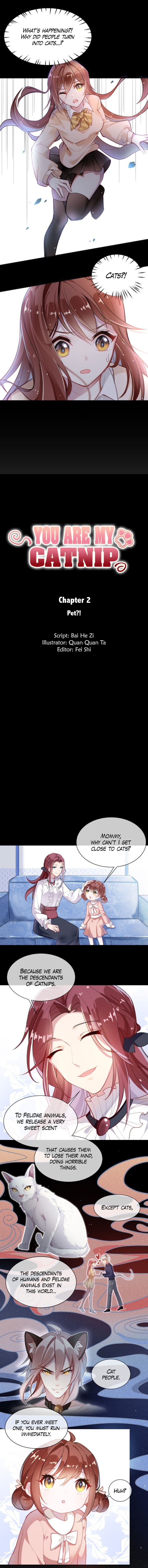 Page 1 of Chapter 2