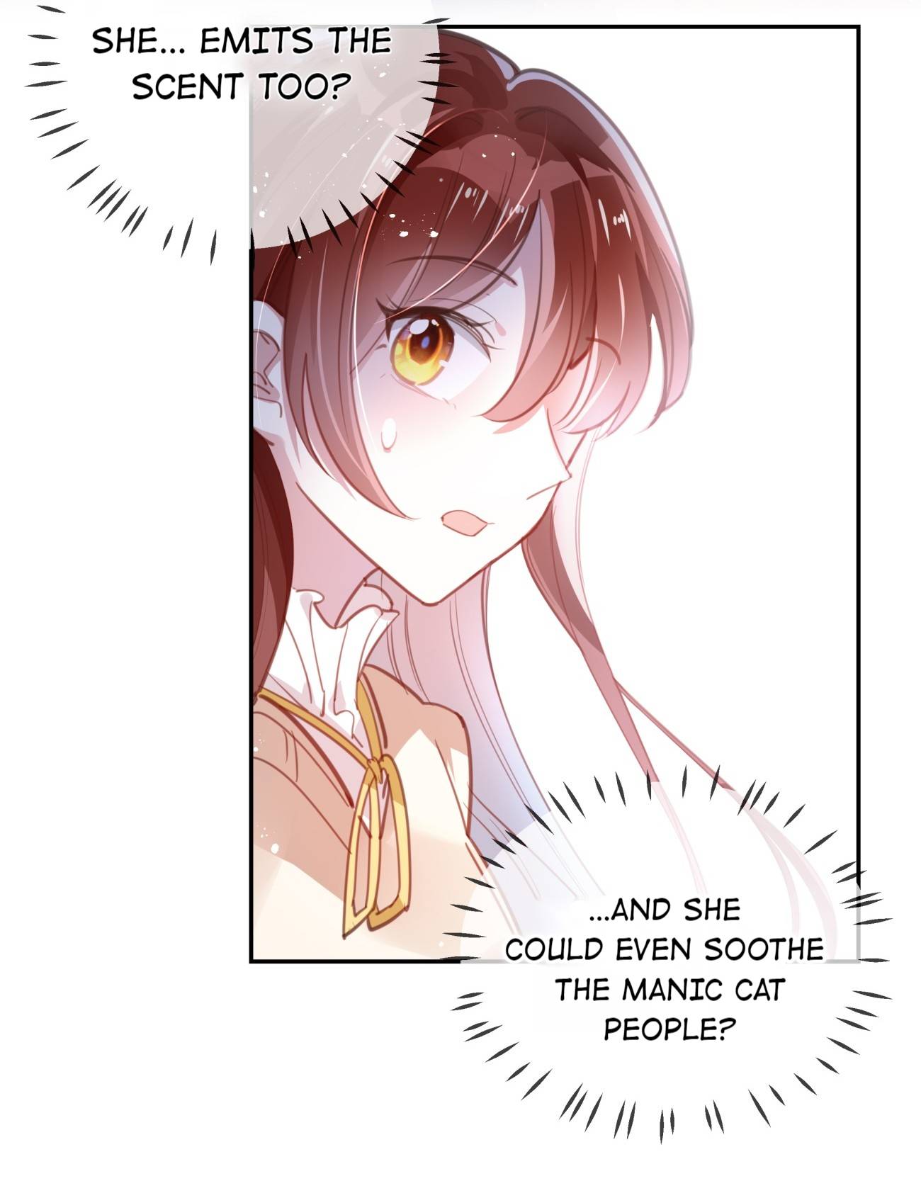 Page 6 of Chapter 20.1