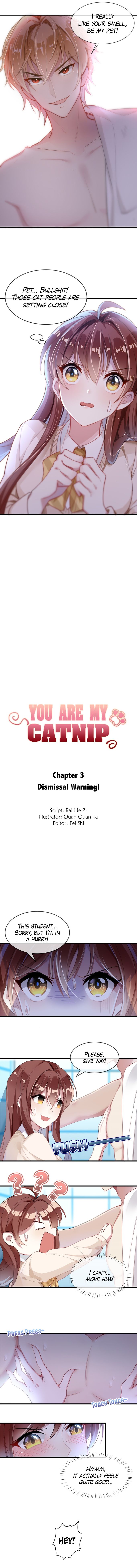 Page 1 of Chapter 3