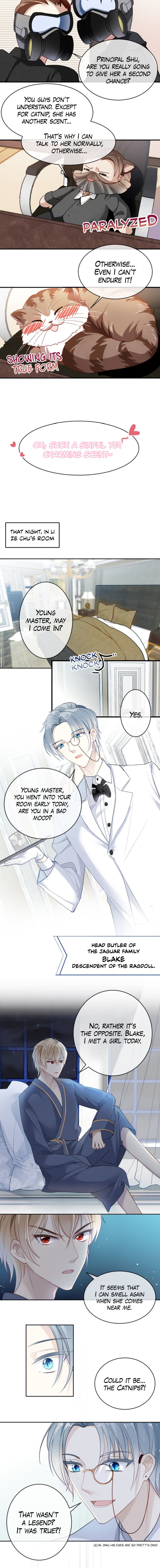 Page 3 of Chapter 4