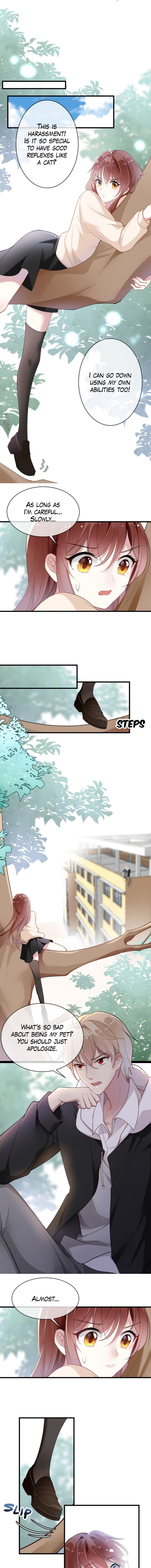 Page 5 of Chapter 5