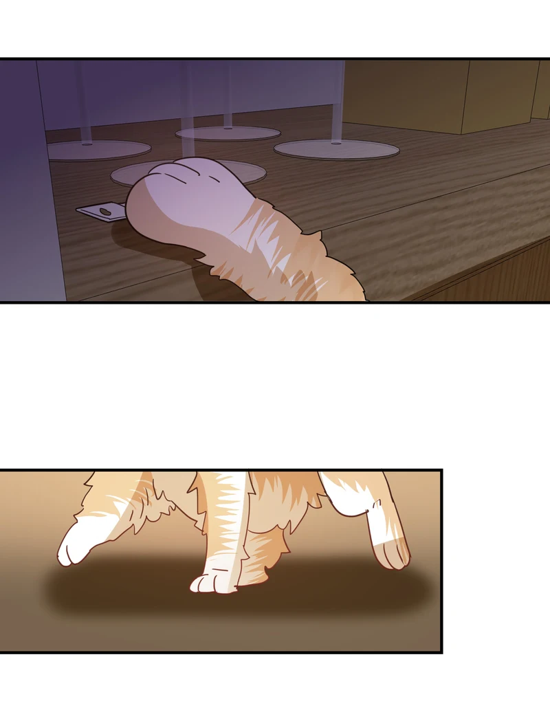 Page 20 of Chapter 50