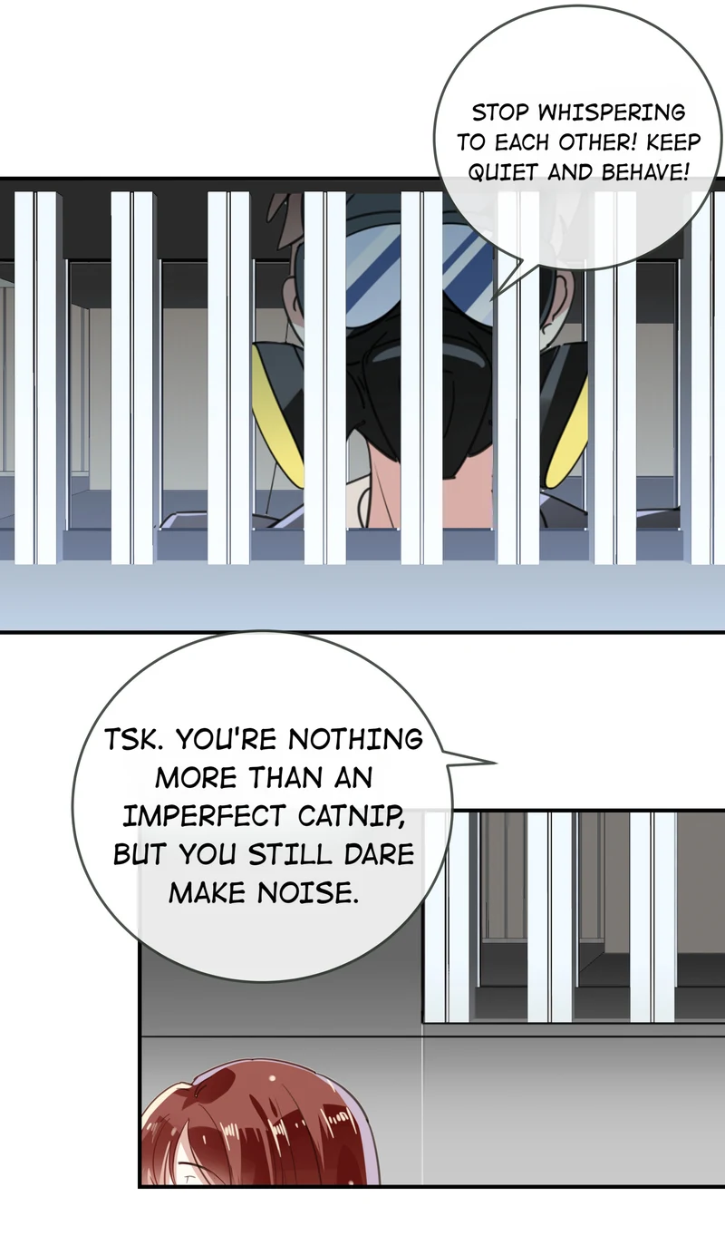 Page 8 of Chapter 51