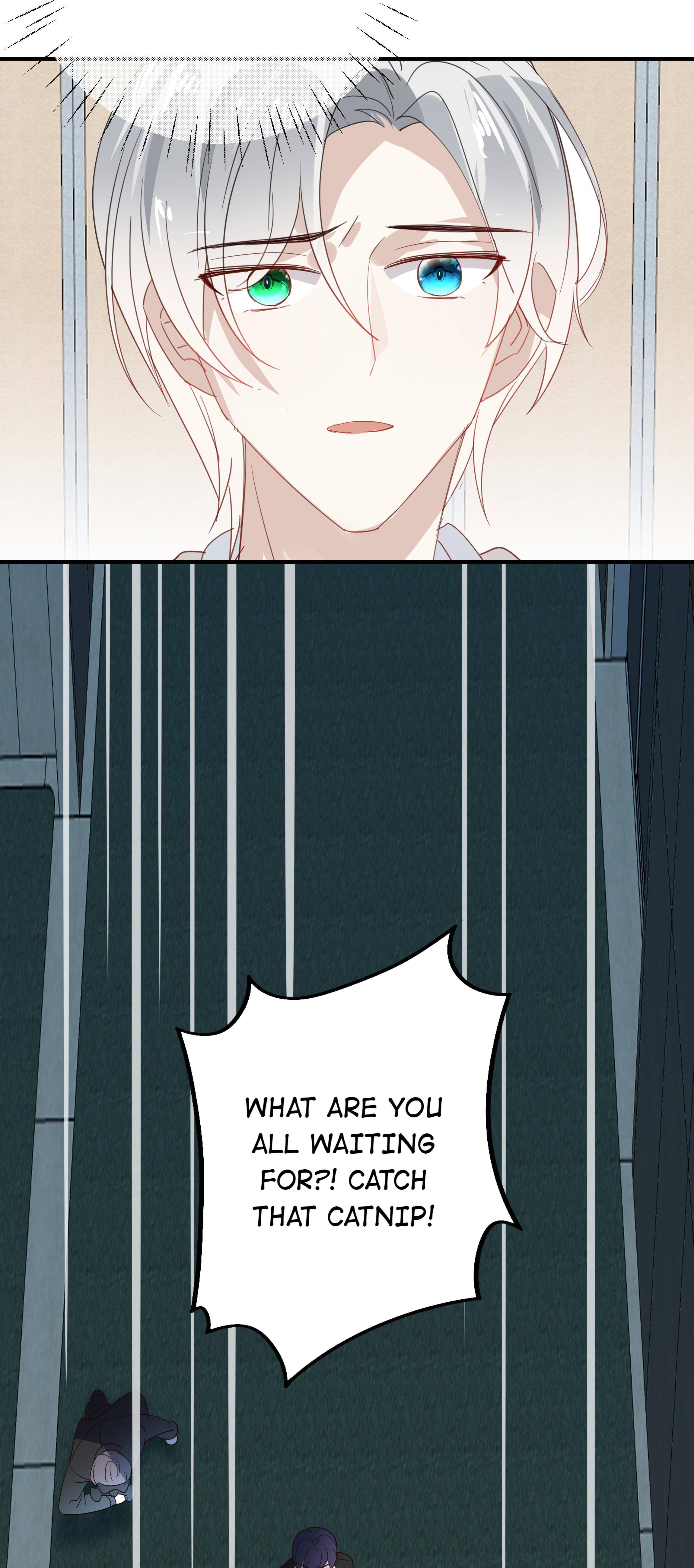 Page 3 of Chapter 52