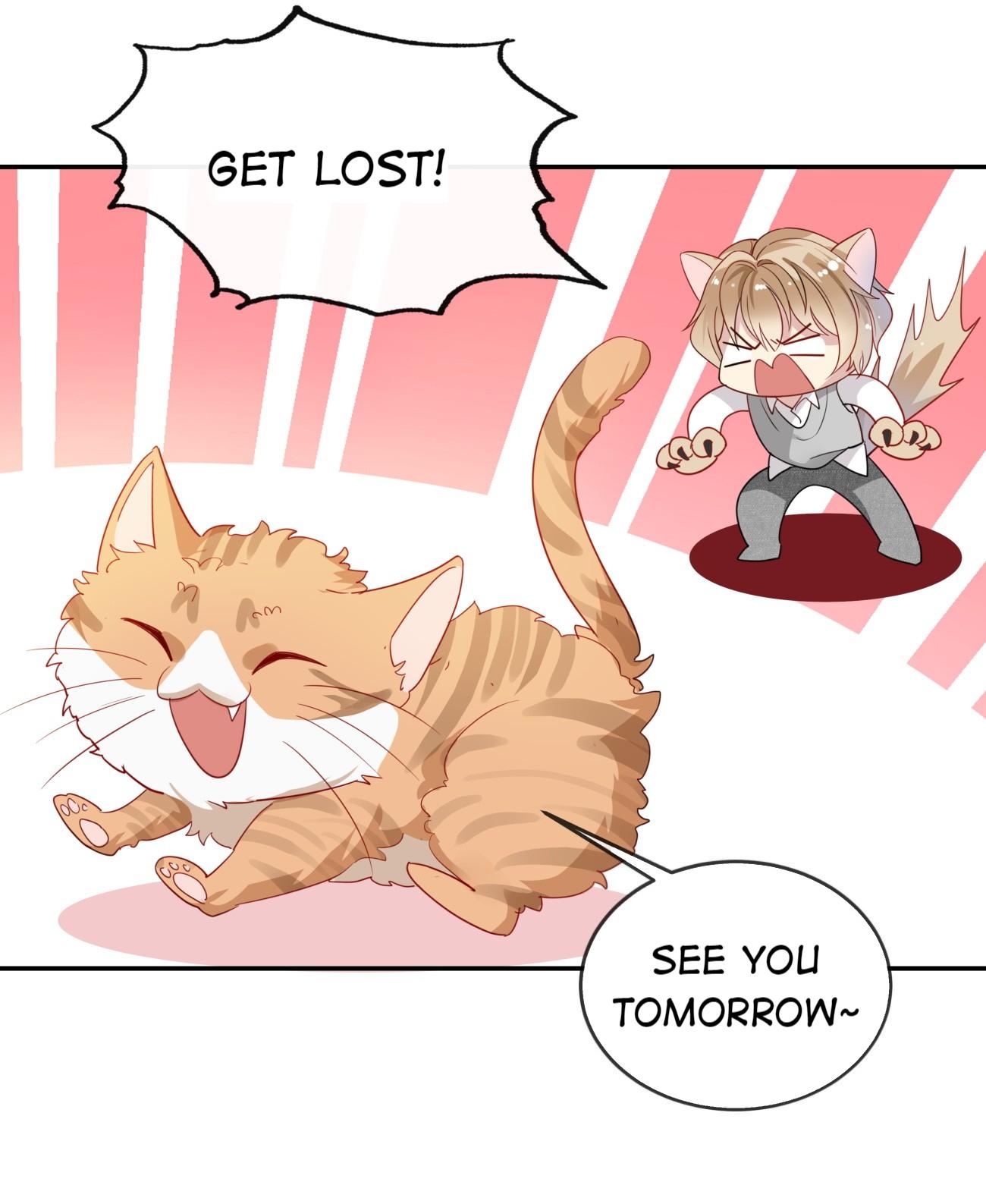 Page 24 of Chapter 8