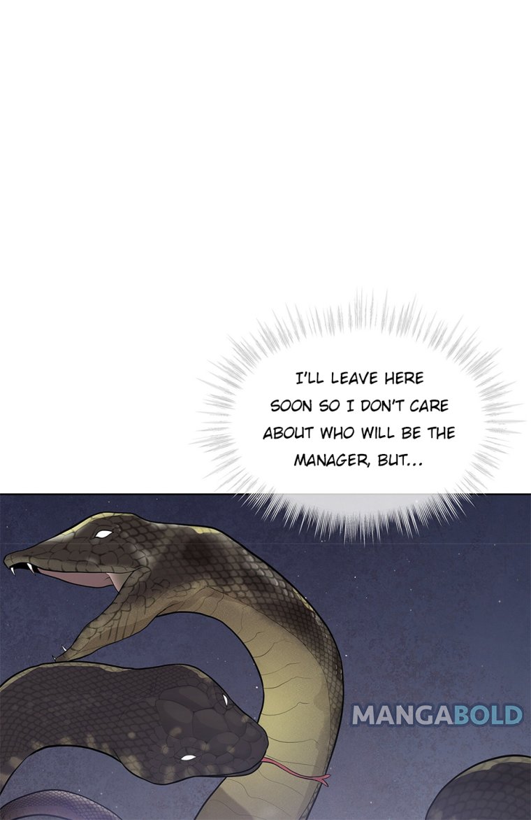 Page 20 of Chapter 41