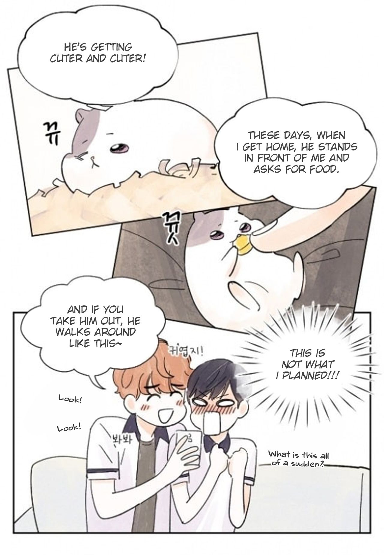 Page 12 of Chapter 17