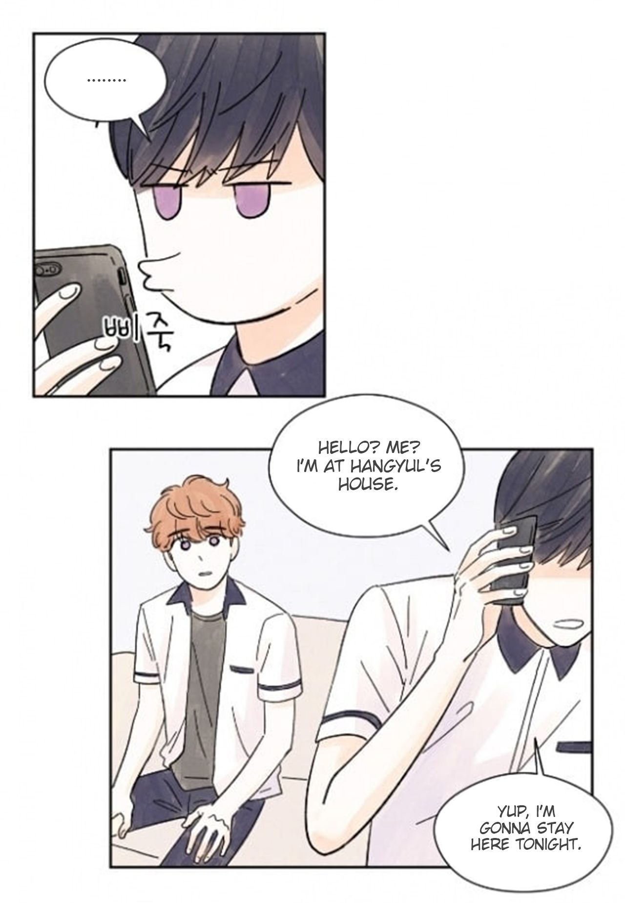 Page 22 of Chapter 17