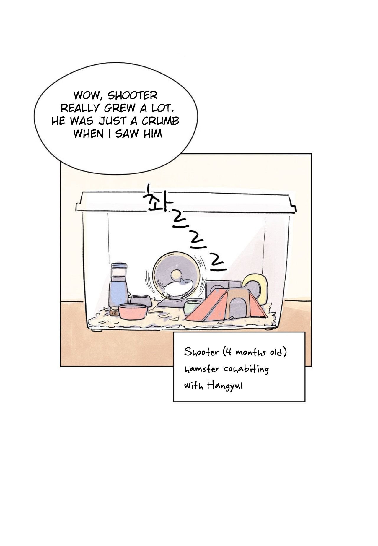 Page 31 of Chapter 5