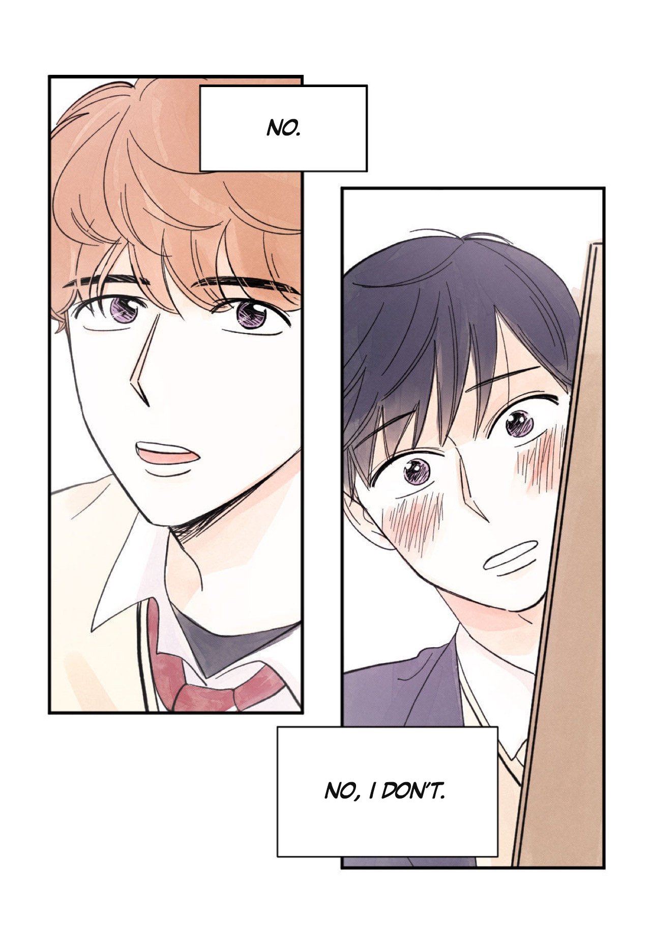 Page 19 of Chapter 8