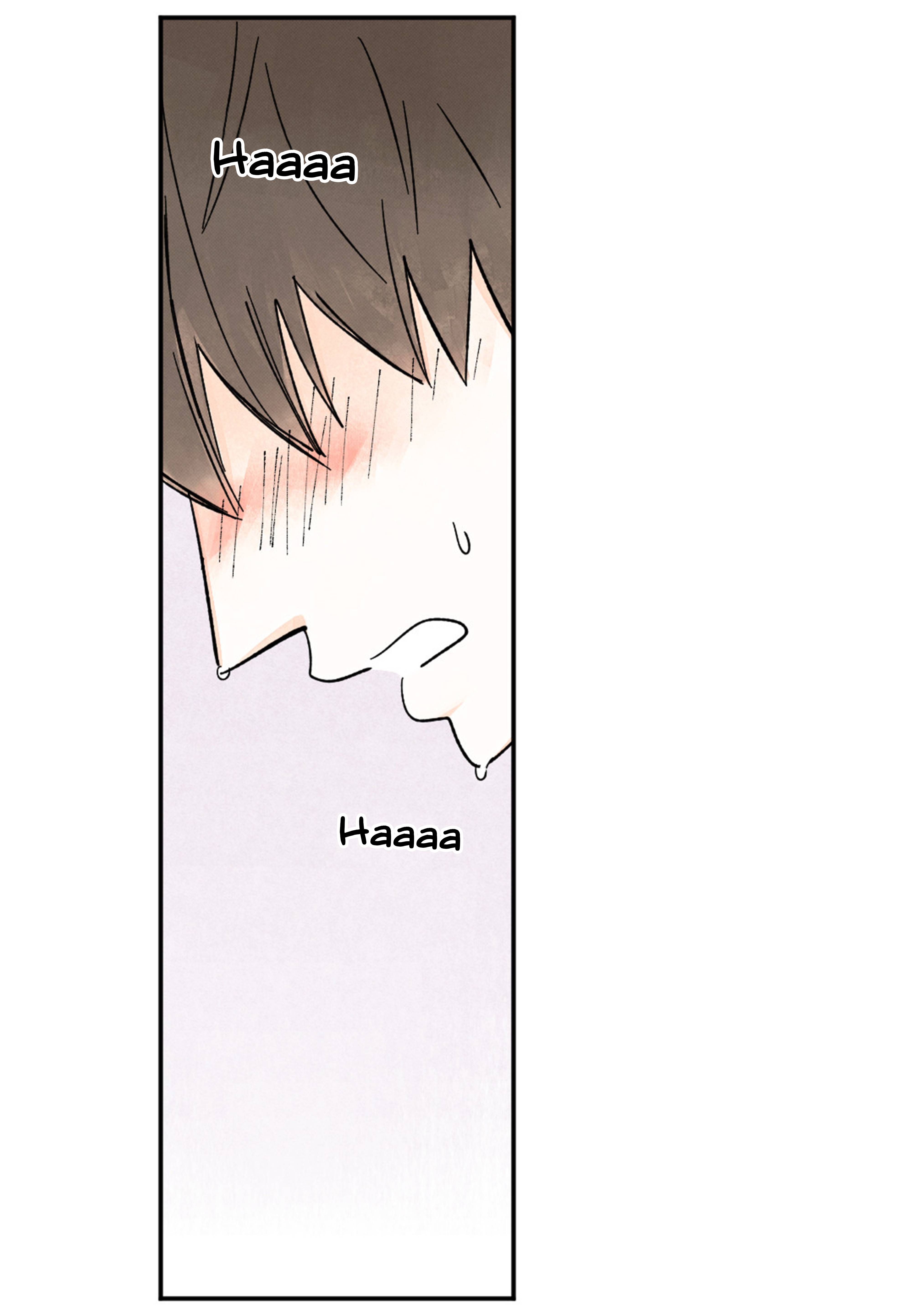 Page 41 of Chapter 84