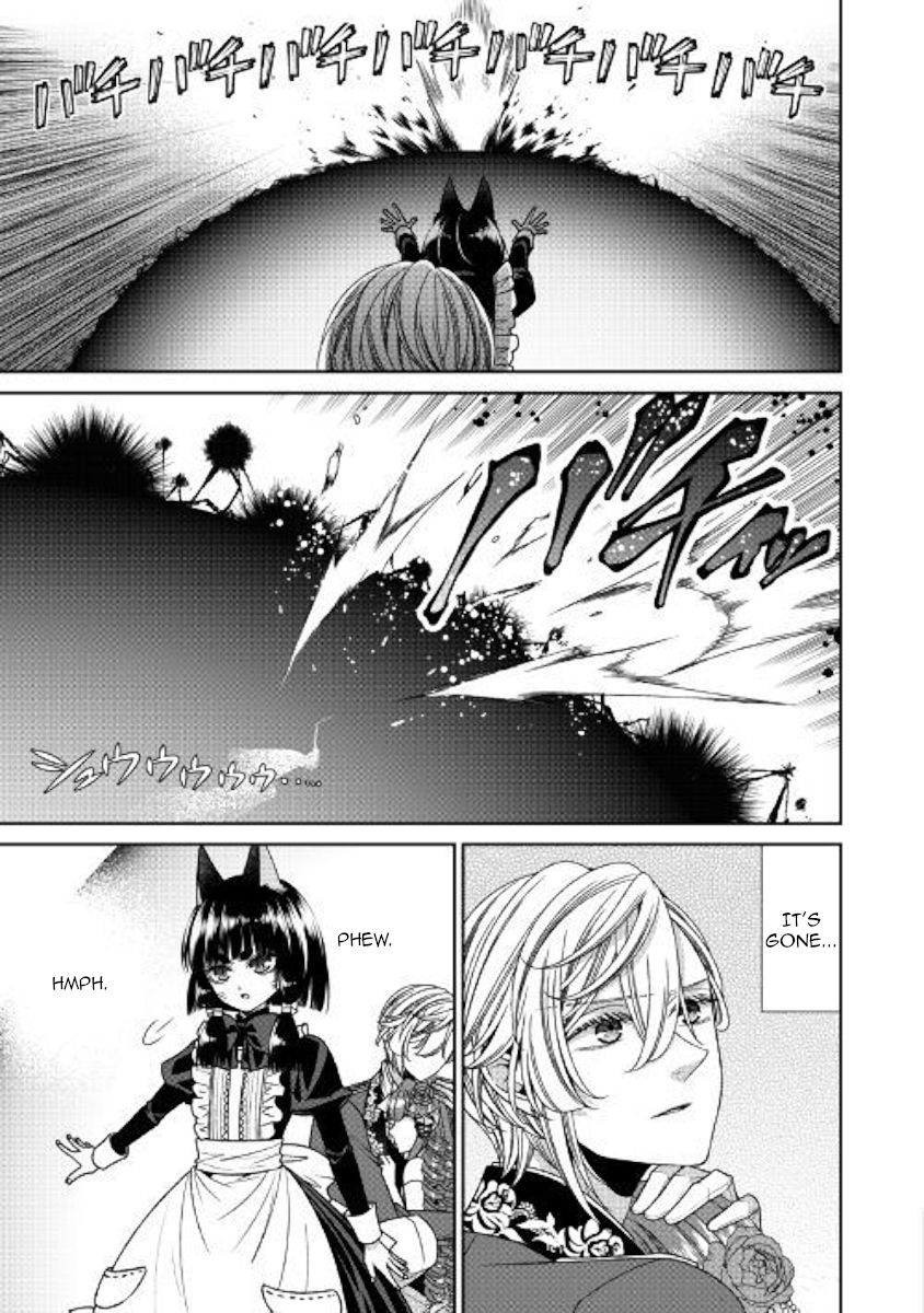 Page 17 of Chapter 20