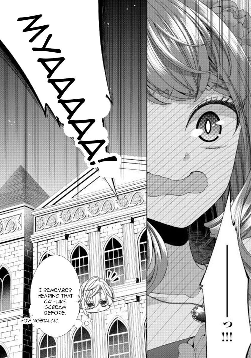 Page 29 of Chapter 26
