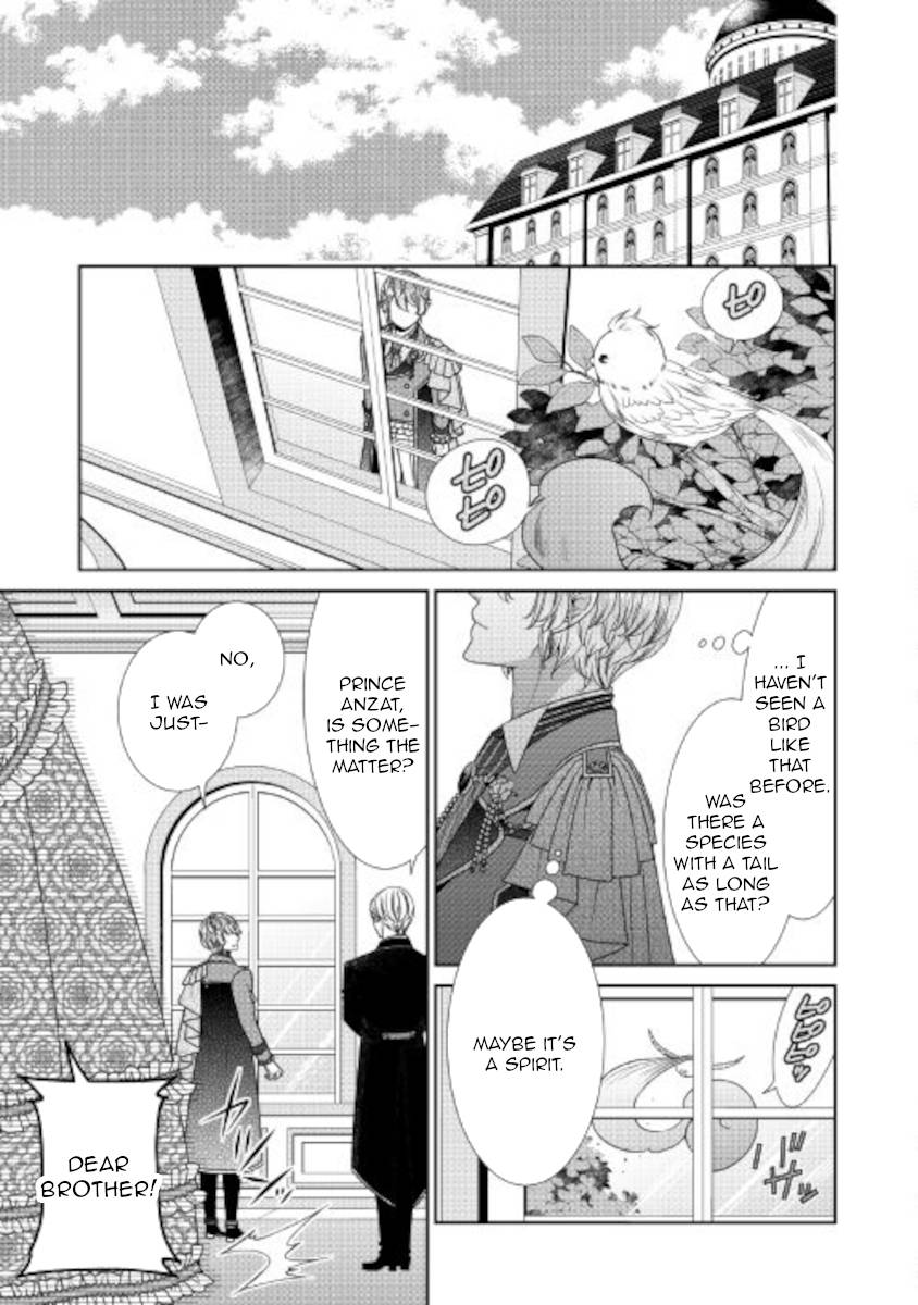 Page 29 of Chapter 33