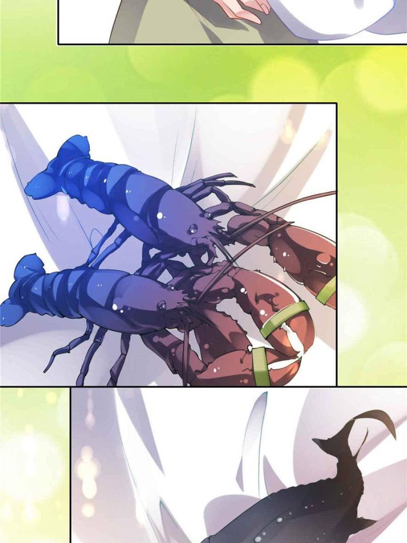 Page 17 of Chapter 19