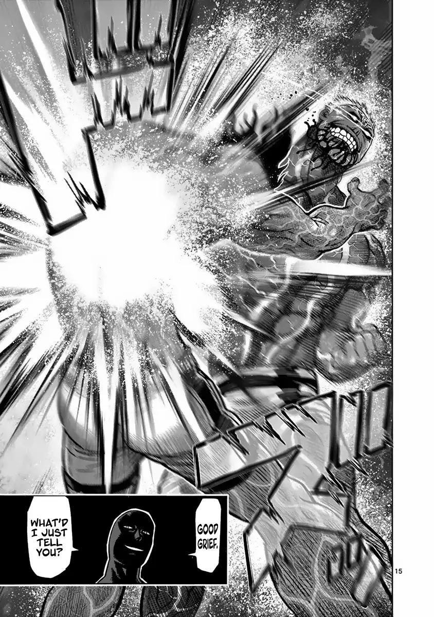 Page 15 of Chapter 133