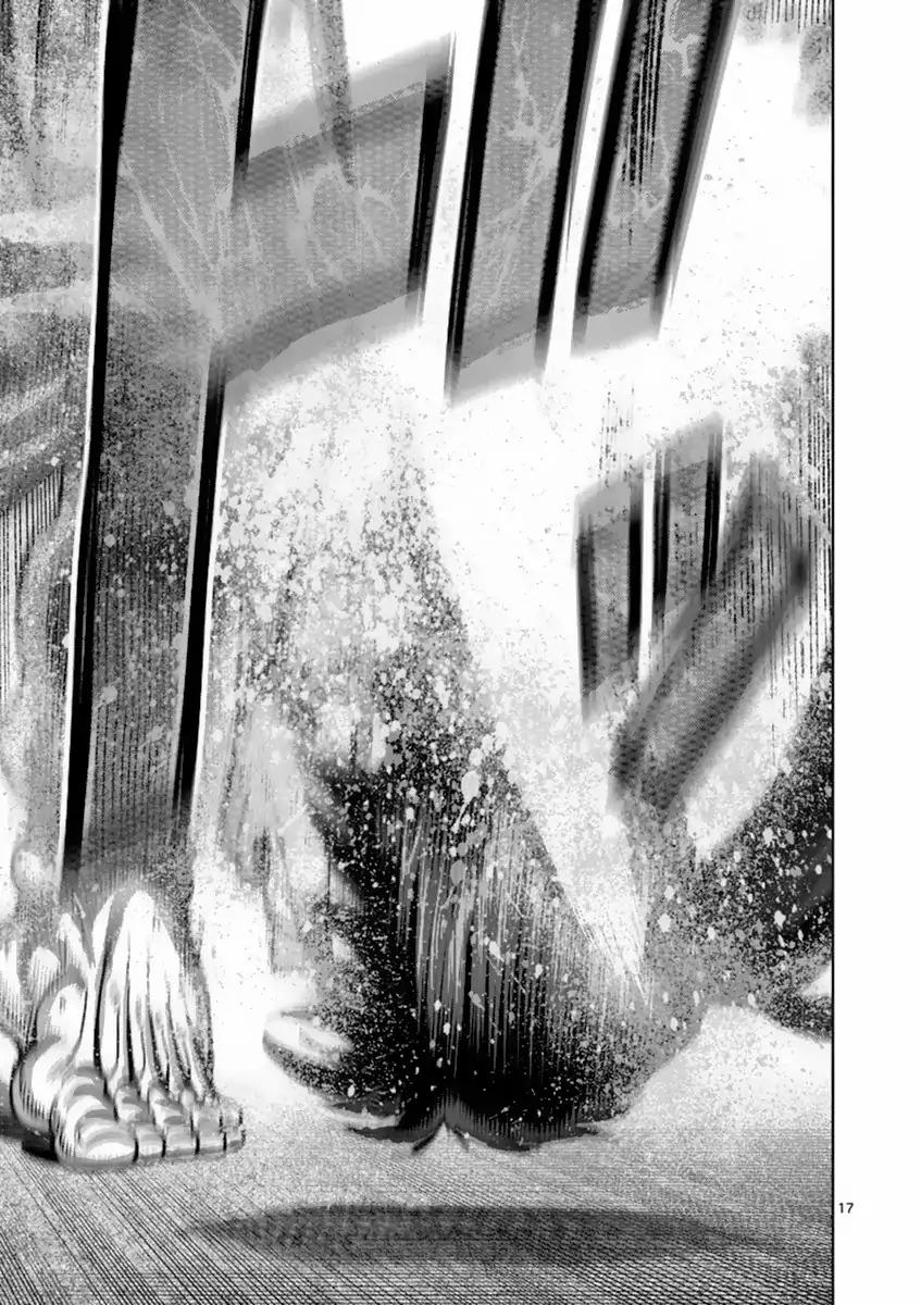 Page 17 of Chapter 161