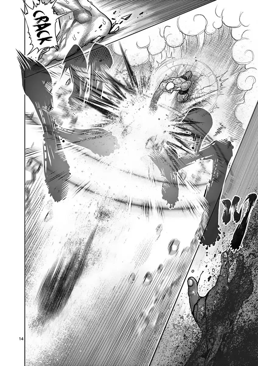 Page 13 of Chapter 194