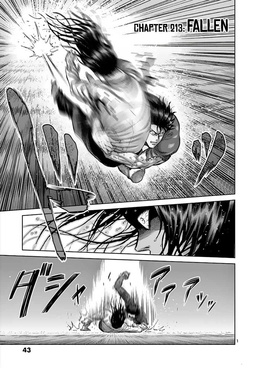 Page 1 of Chapter 213