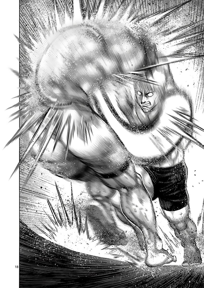 Page 17 of Chapter 216