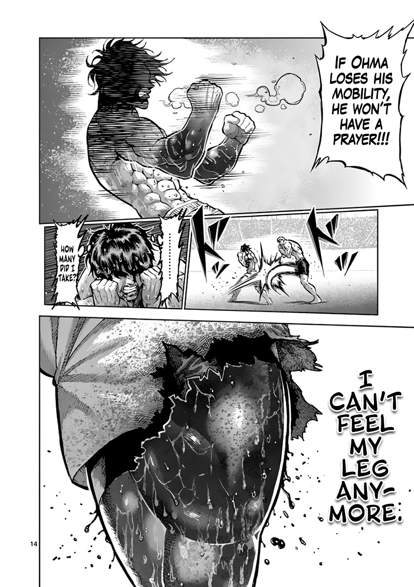 Page 14 of Chapter 219