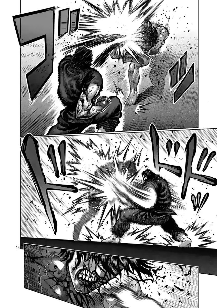 Page 14 of Chapter 232
