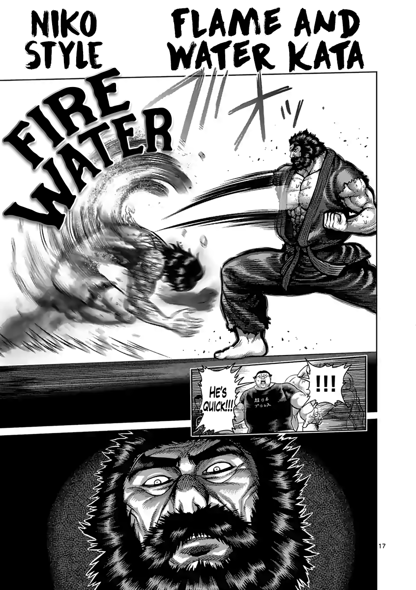 Page 17 of Chapter 232