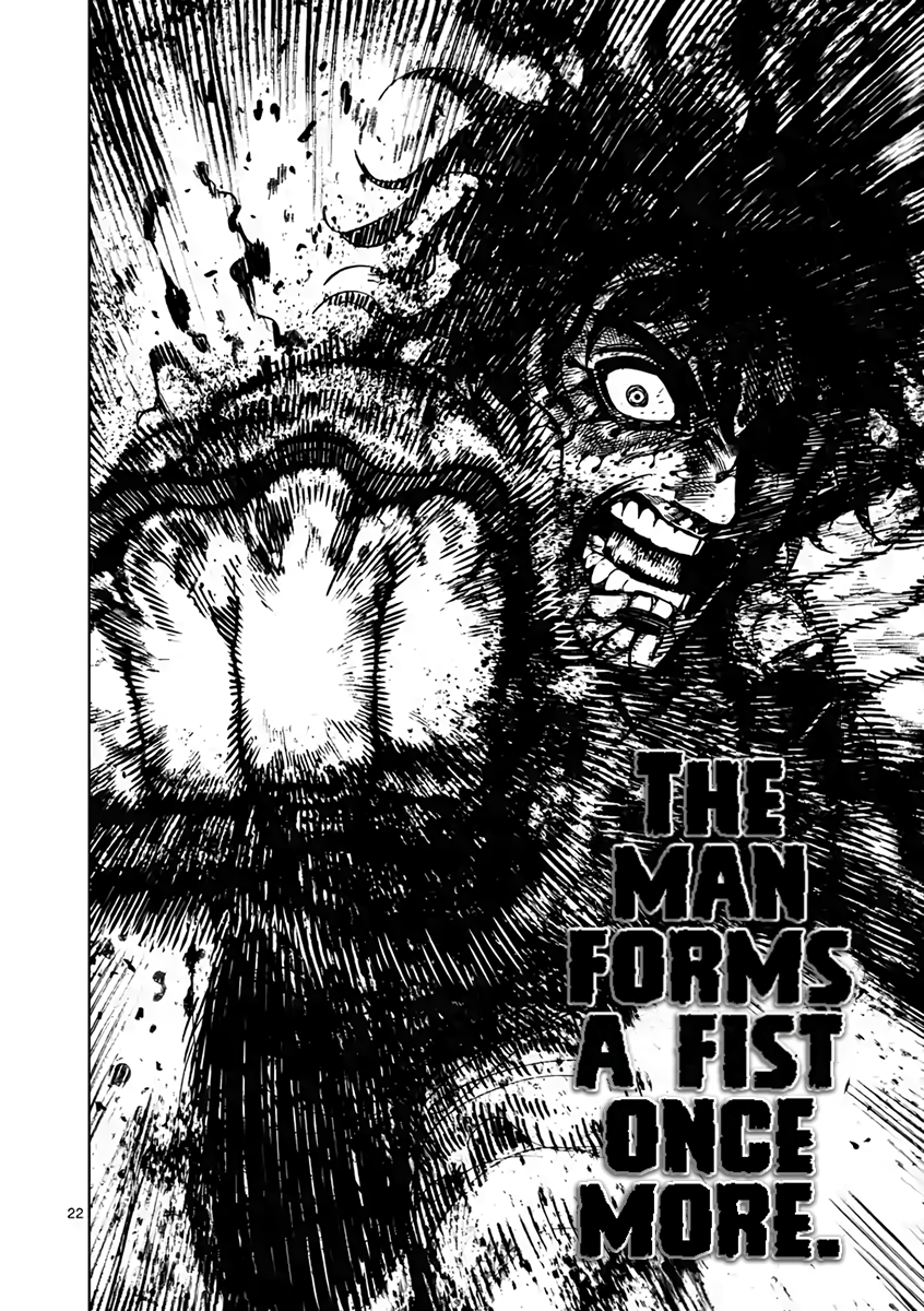 Page 22 of Chapter 233