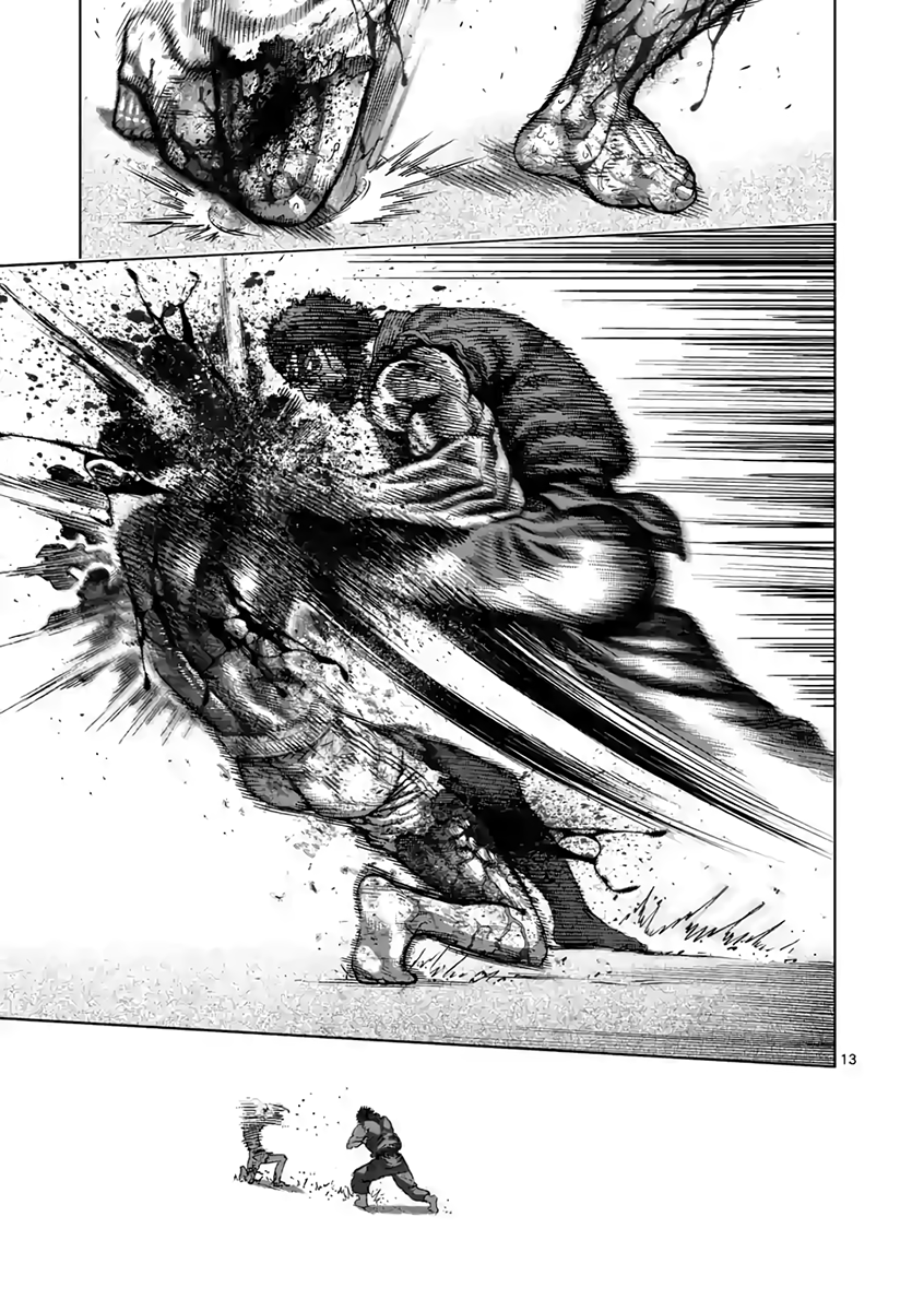 Page 13 of Chapter 234