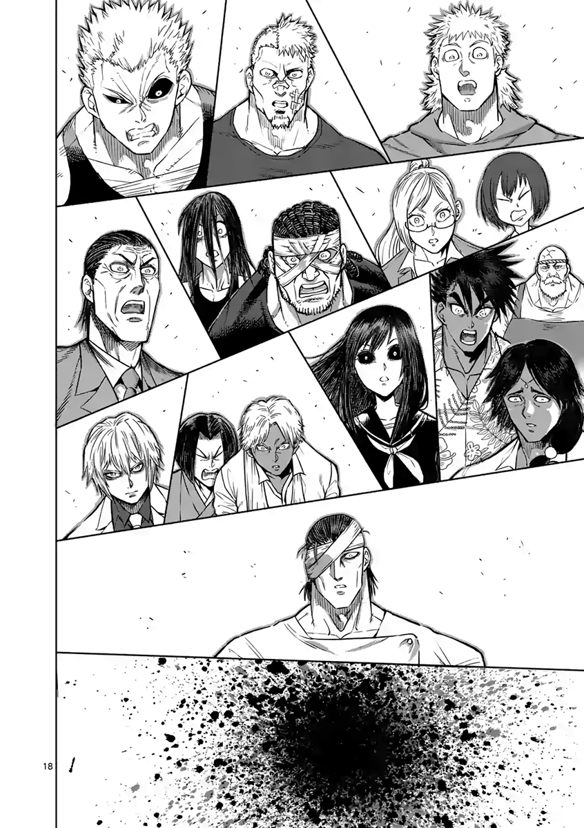 Page 17 of Chapter 234