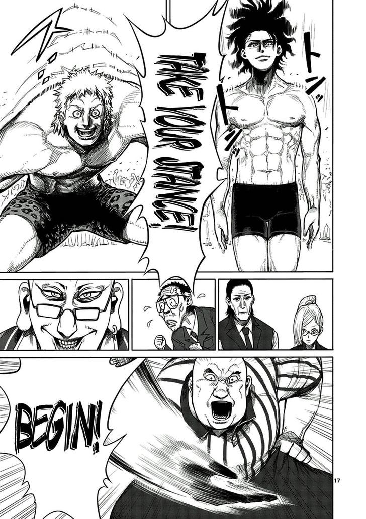 Page 17 of Chapter 4