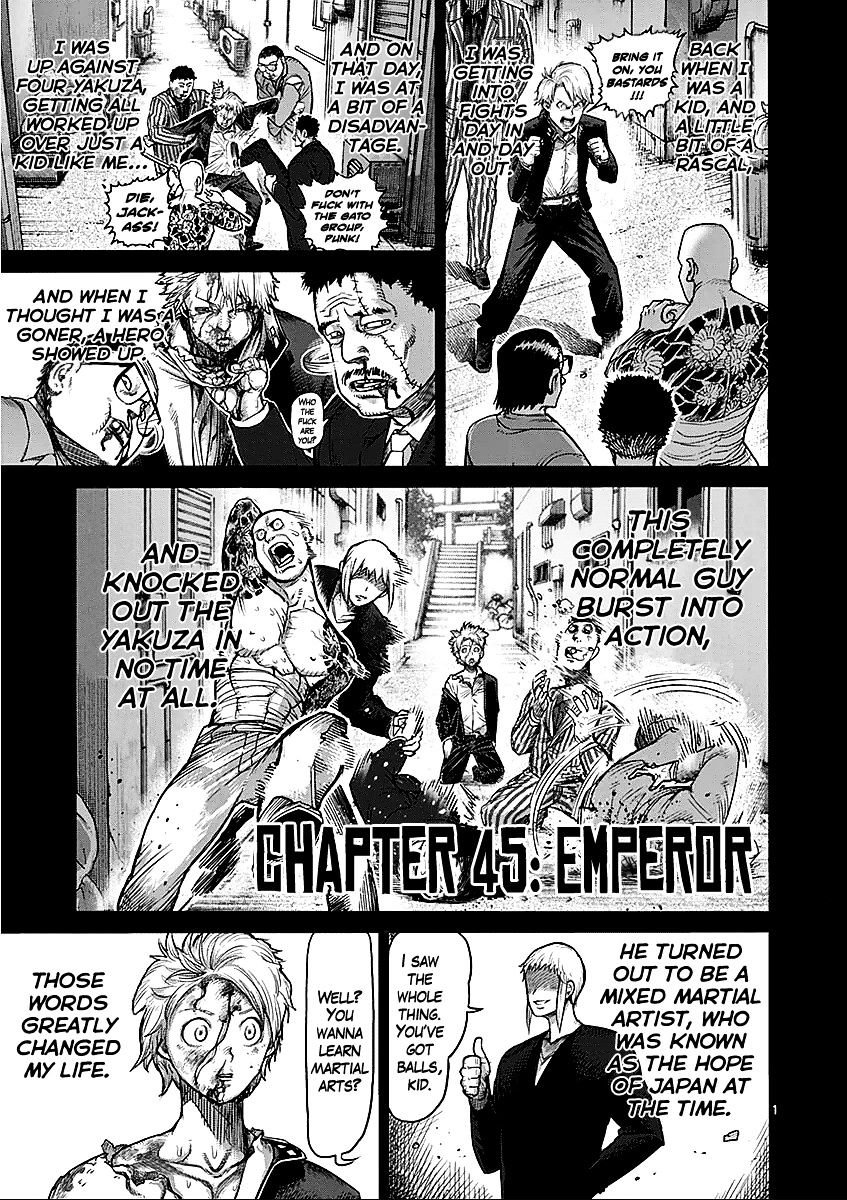 Page 1 of Chapter 45