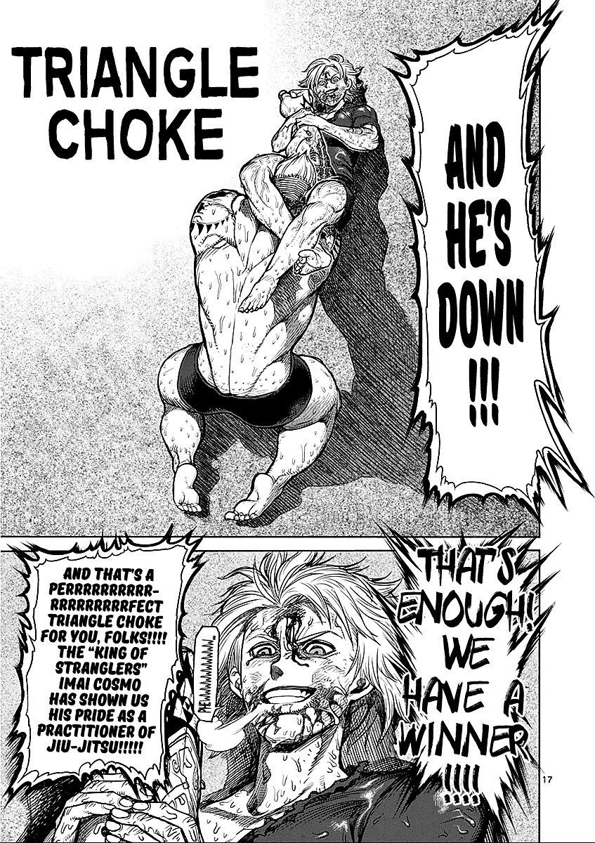 Page 17 of Chapter 46