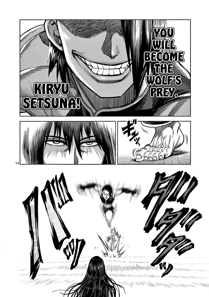 Page 14 of Chapter 95