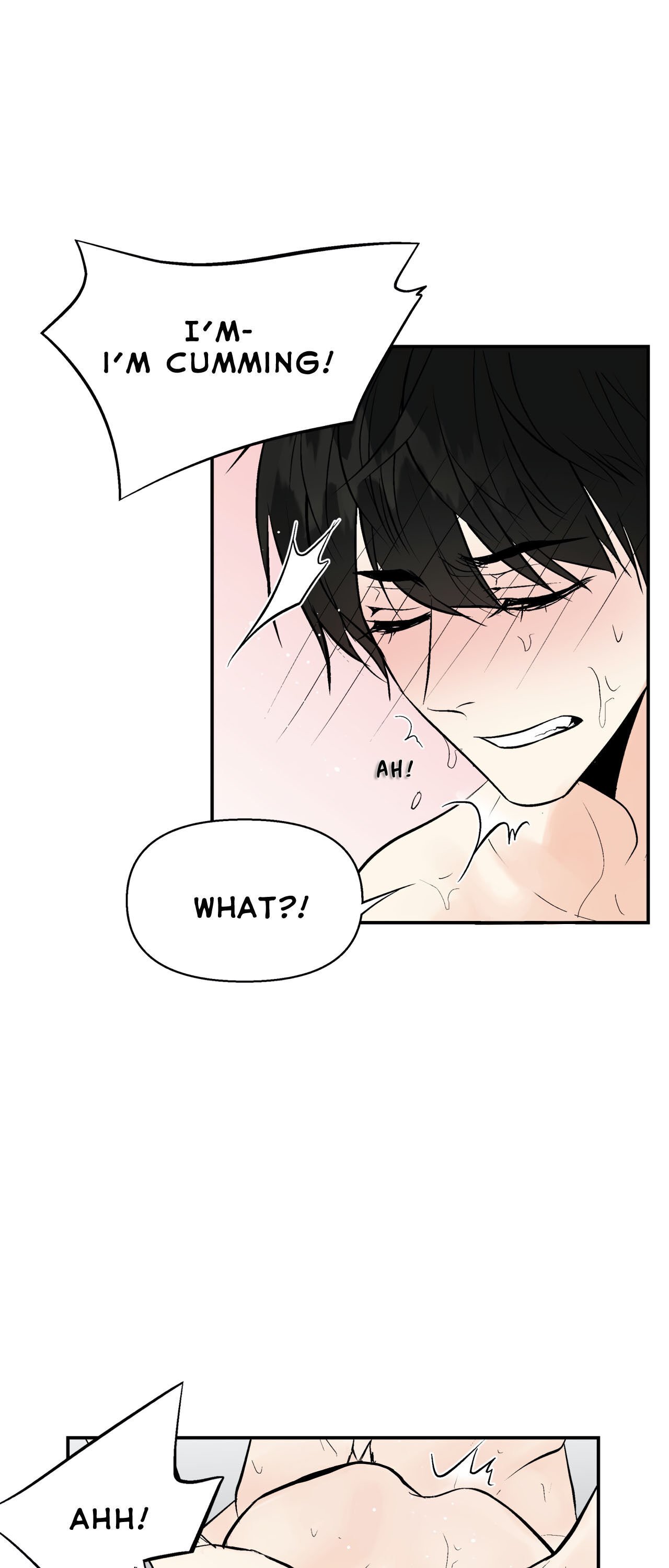 Page 17 of Chapter 15