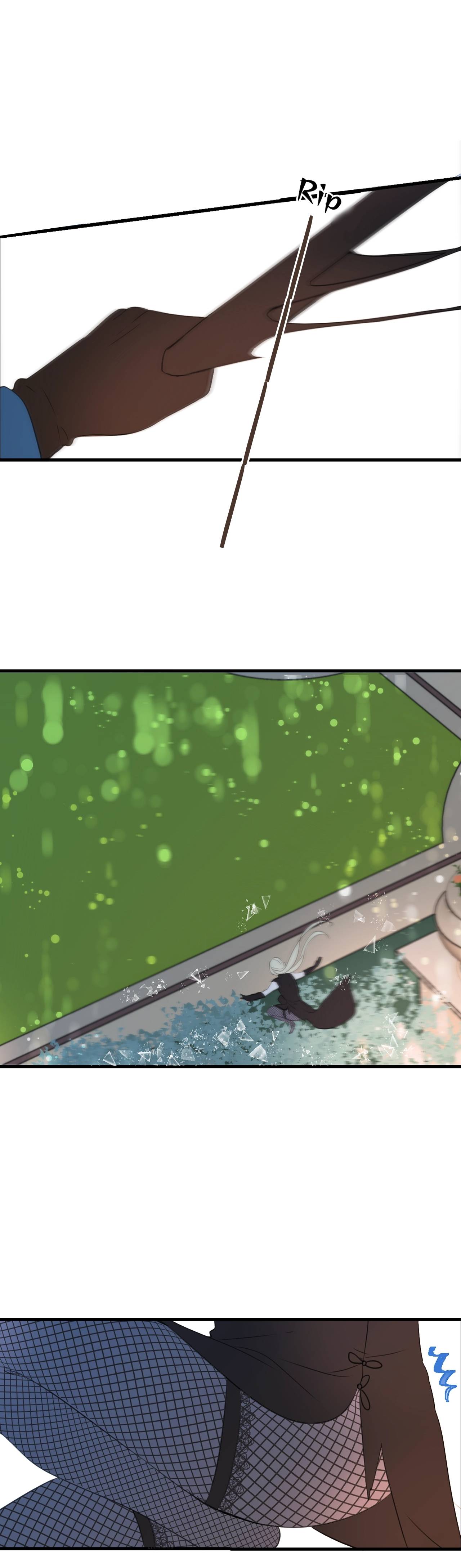 Page 31 of Chapter 184.5